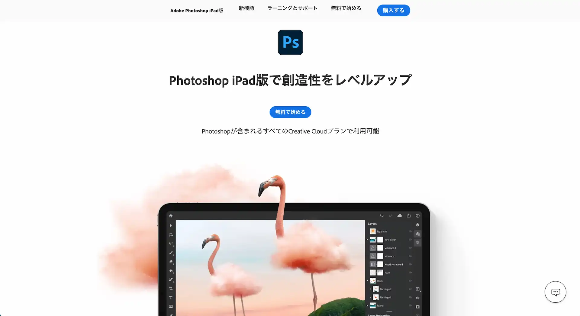 photoshoponiPad ScreenShot